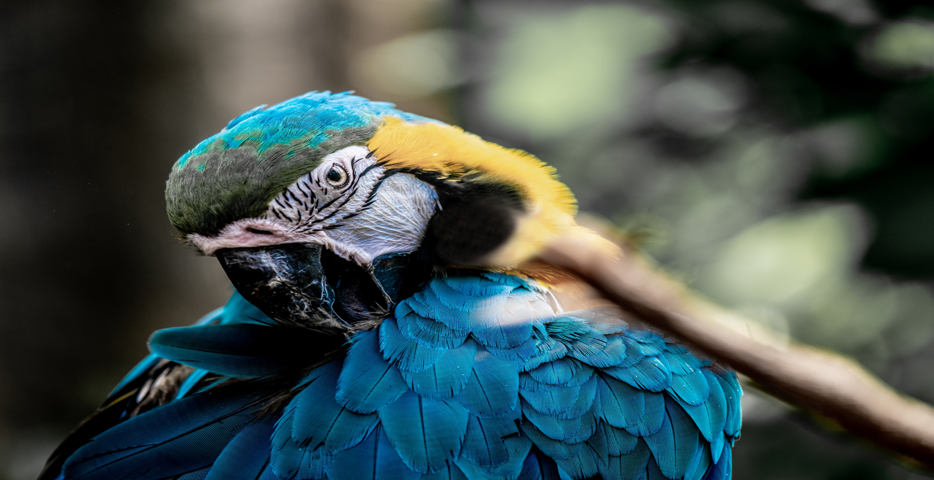 Avaliação de empresas